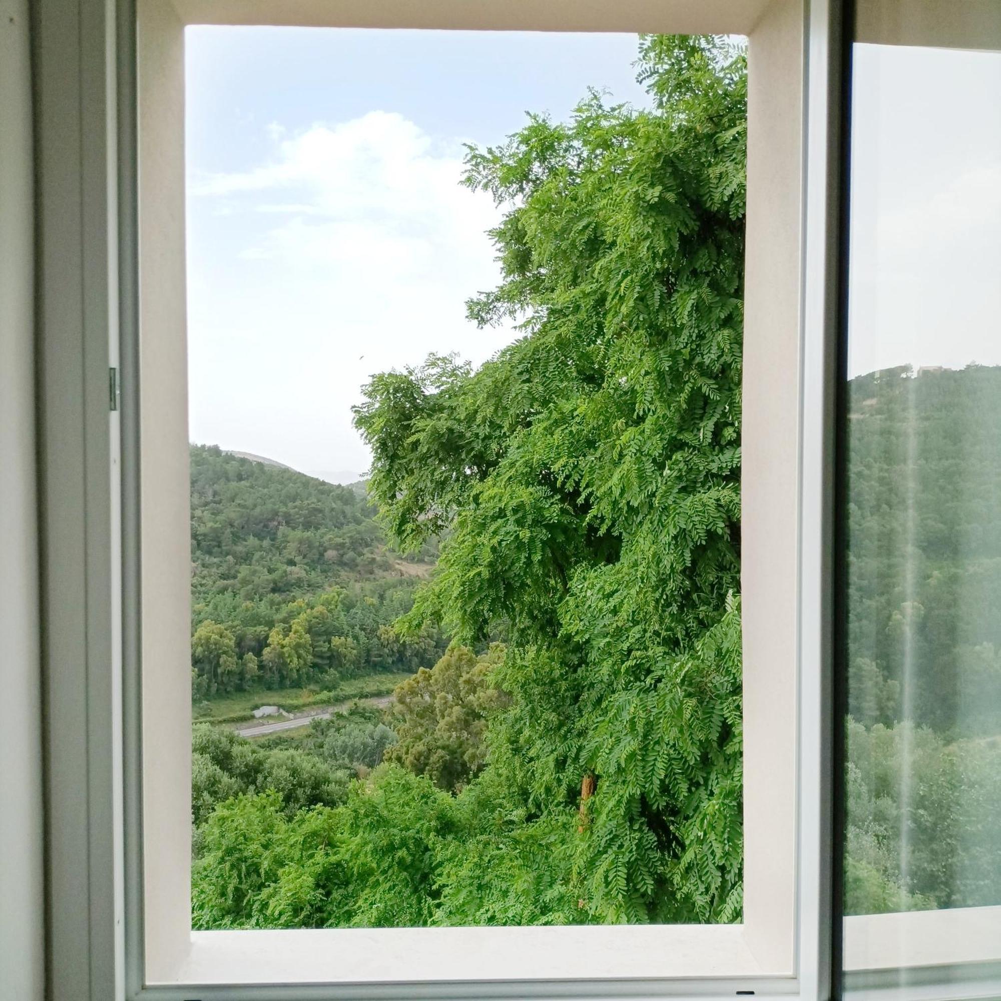 Tuffudesu Experience (Adults Only) Osilo Quarto foto